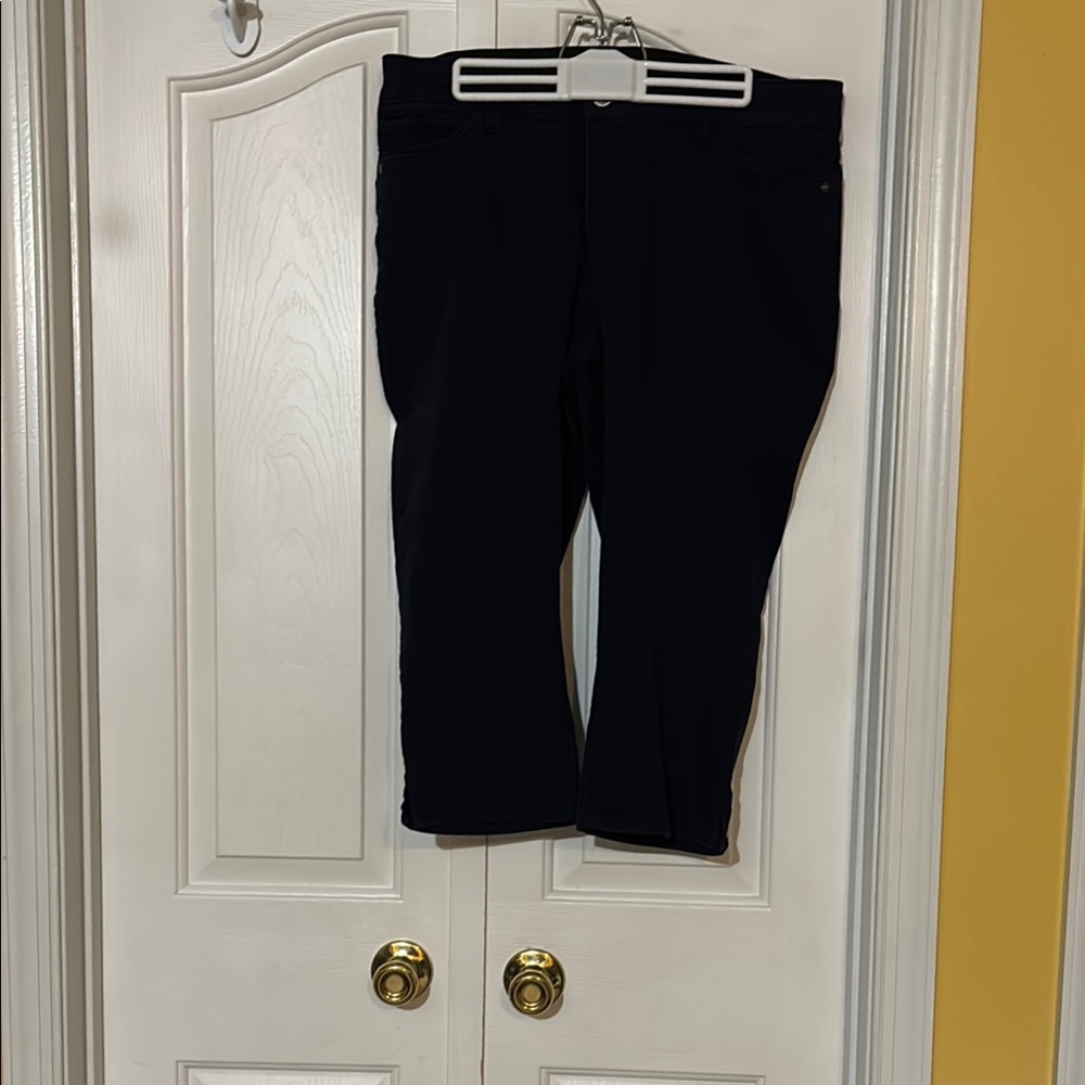 Liz Claiborne Blue Capri Pants